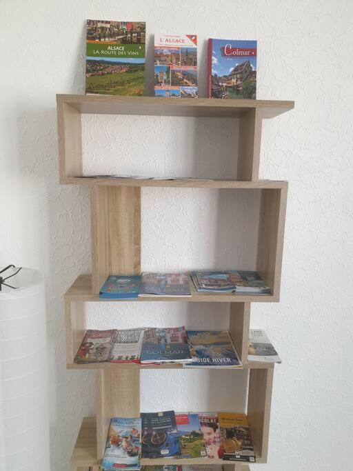 Le Nid Des Cigognes A Colmar Centre, Proche Gare, Marches De Noel Appartement Buitenkant foto
